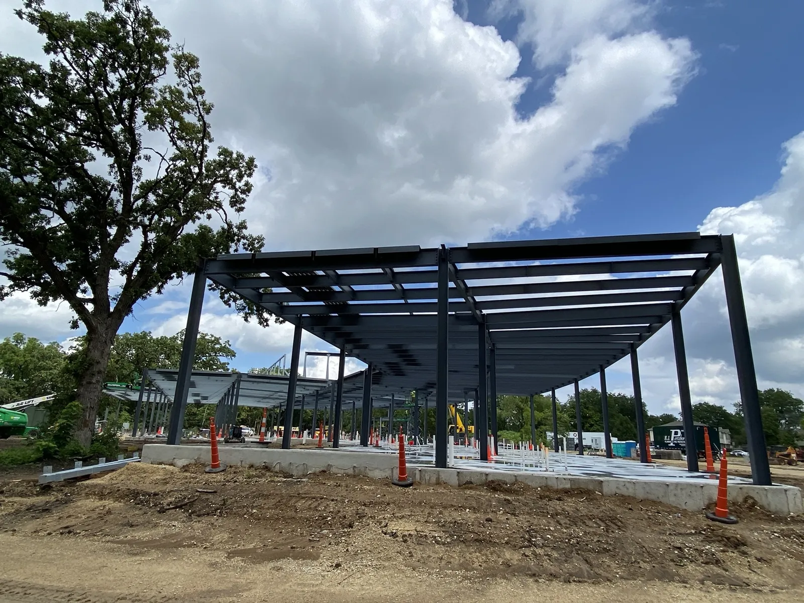 OrthoWisconsin Ambulatory: a corner of the frame with its roof beams, beside a large oak